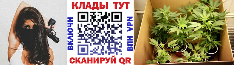 Все наркотики Весьегонск Alpha-PVP кракен tor Cocaine Меф мяу мяу АМФ ГАШ Канабис