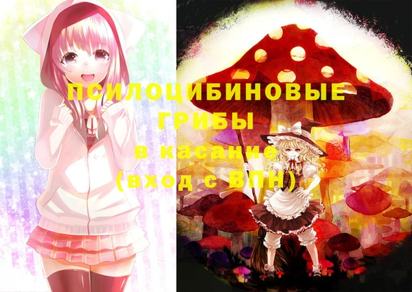 МДПВ Абинск