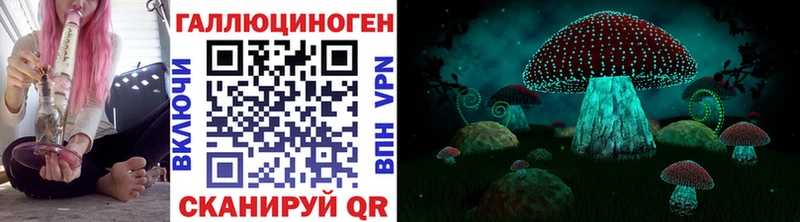 где продают наркотики  МЕГА сайт  Псилоцибиновые грибы Psilocybe  Весьегонск 